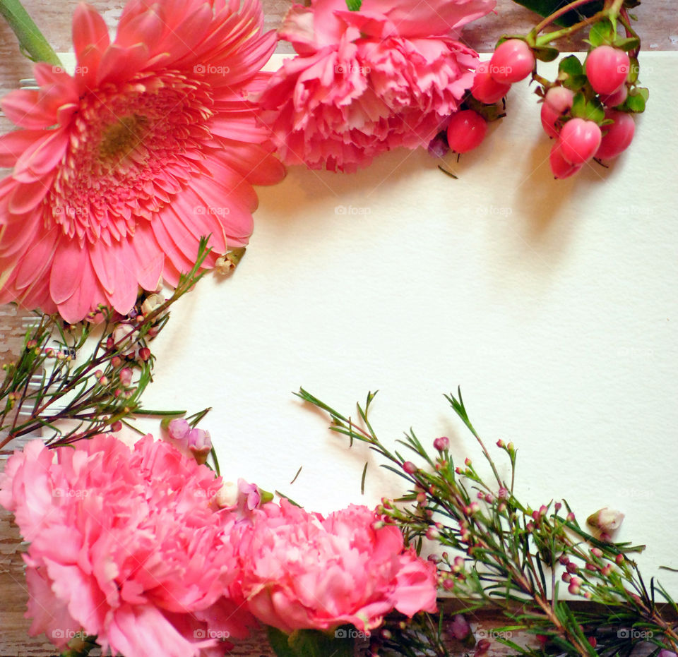 carnations and gerbera daisies as border in flat lay