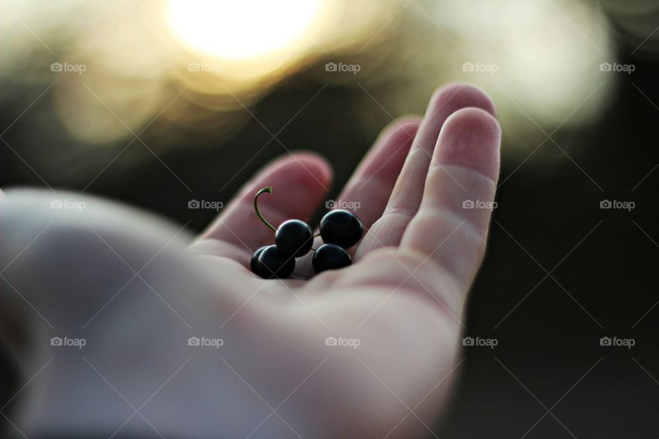 Berries