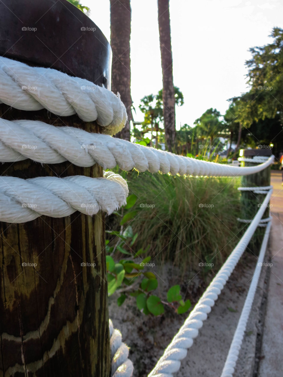 Path to Adventure. The boardwalk along the Yacht Club Resort at Disney World.