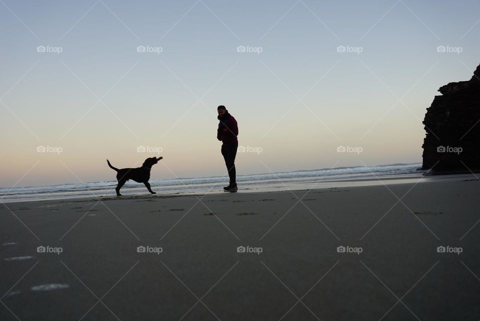 Beach#ocean#human#dog