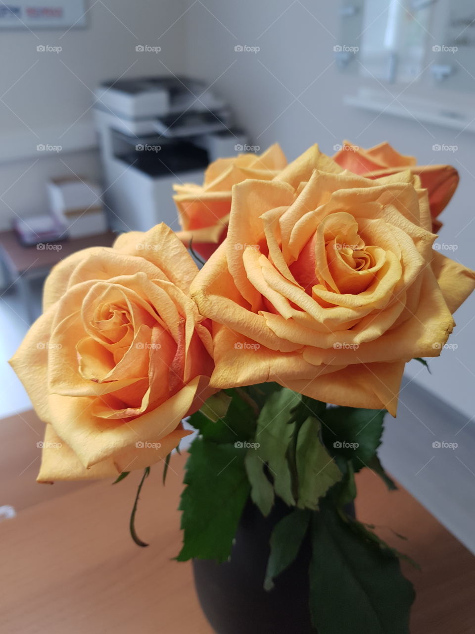 schöne Rosen 🌹🍃