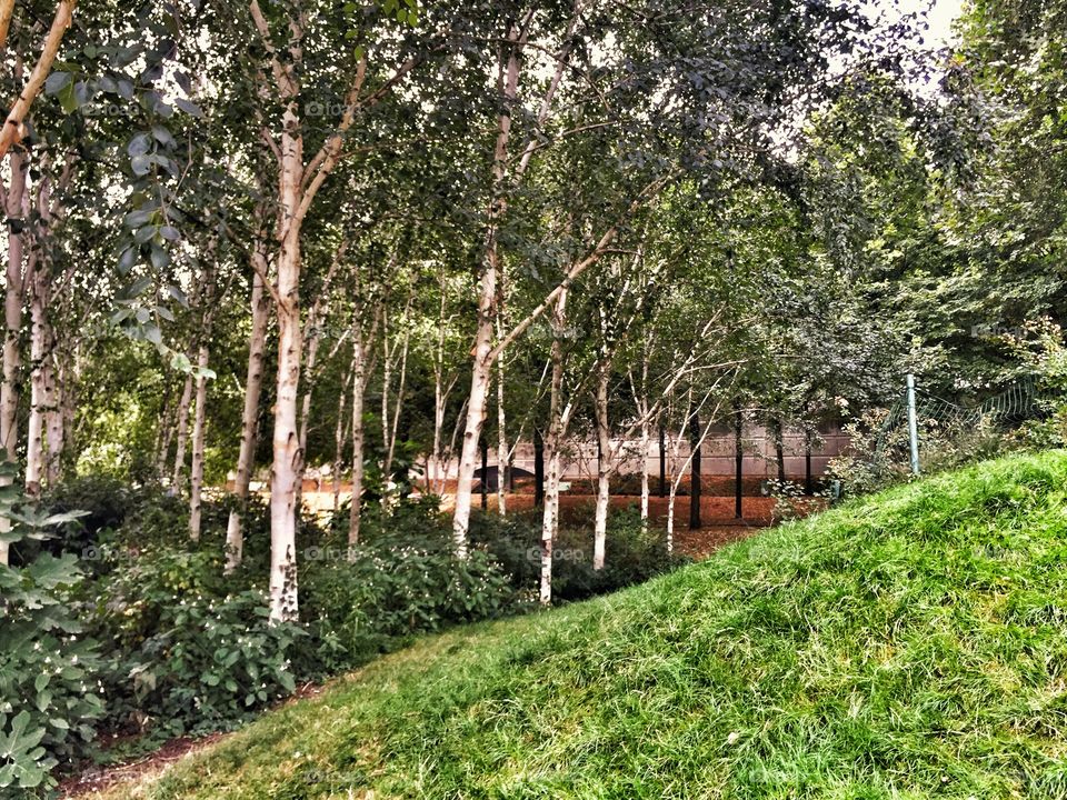 In the thick of things.