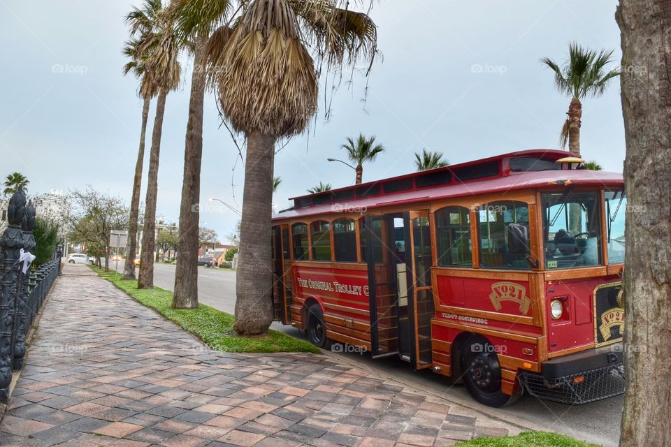 trolley bus . trolley bus in Galveston, Texas 