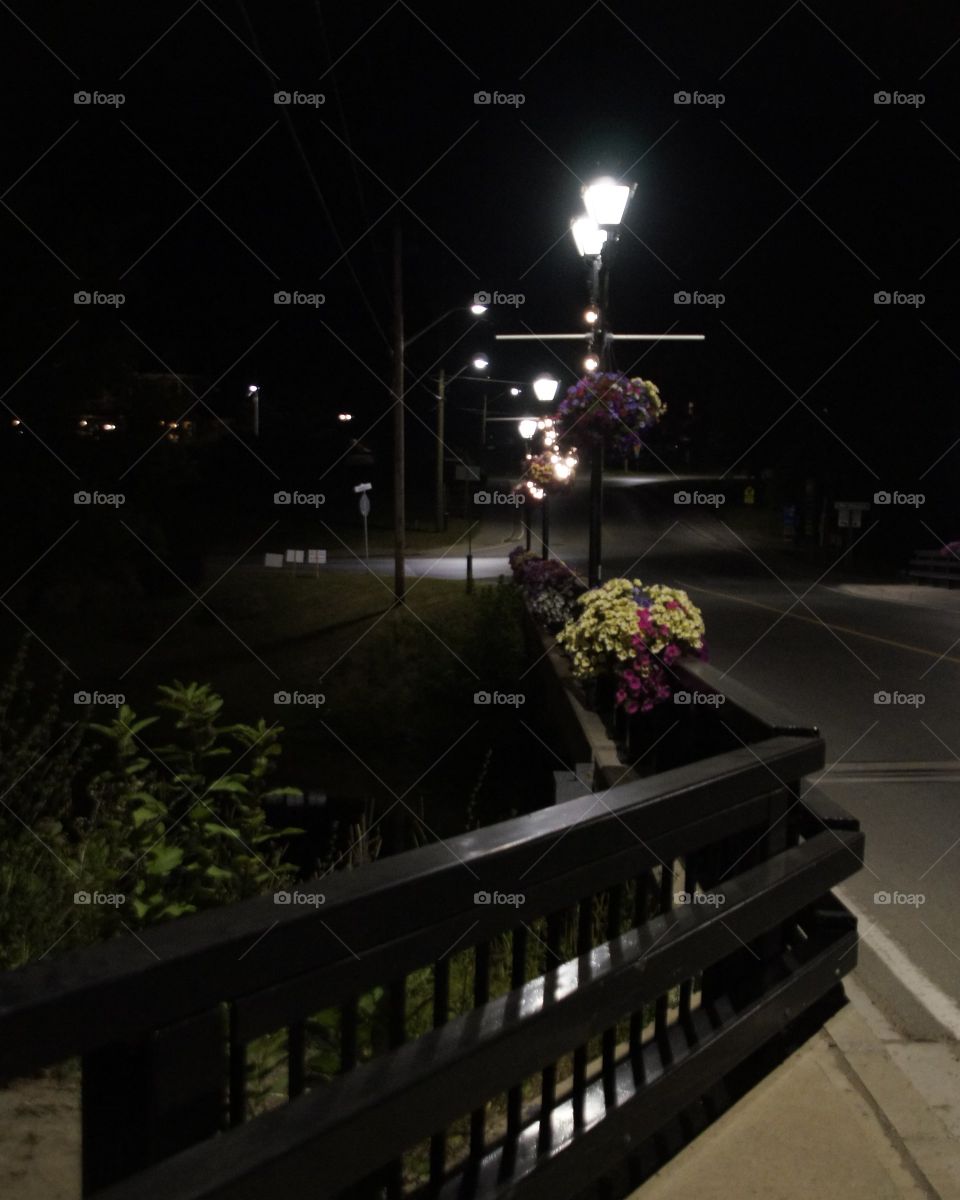 Night photograph of a bridge vintage light post flowers and railing