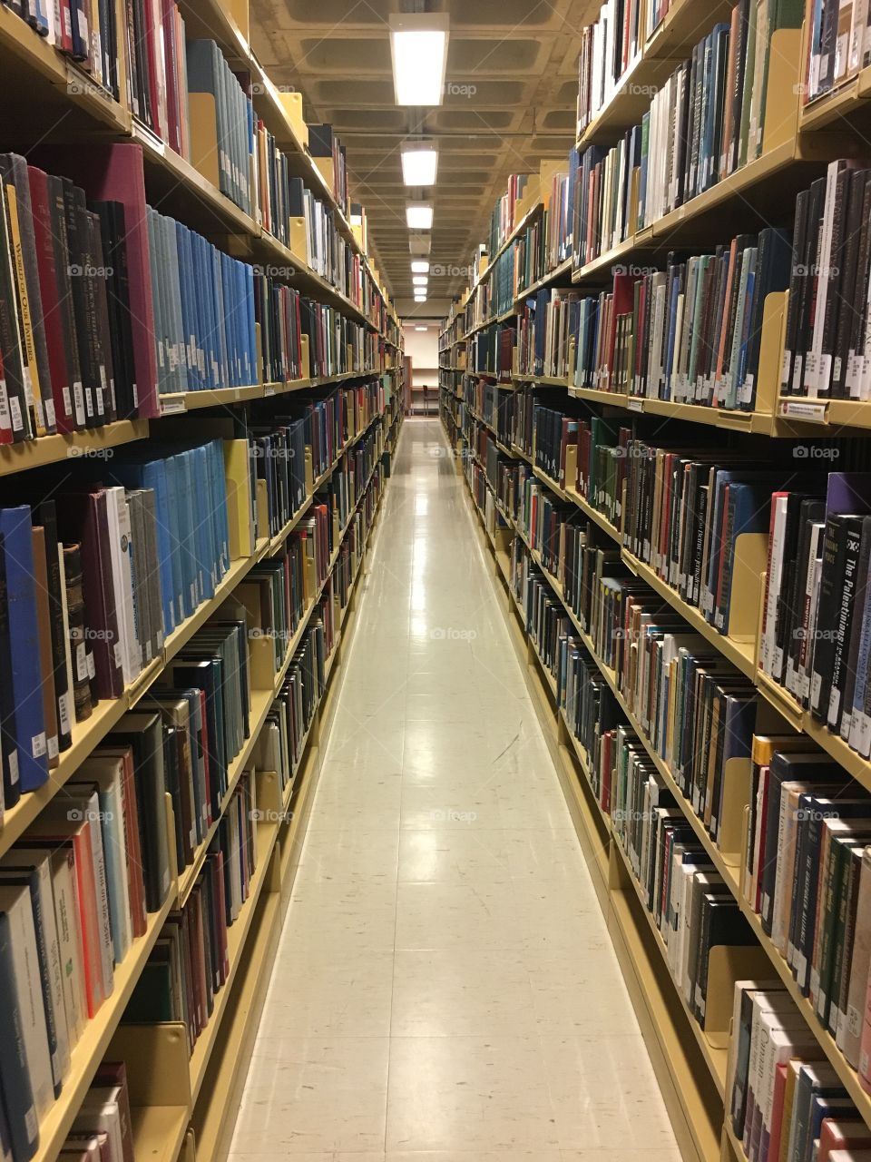 University library