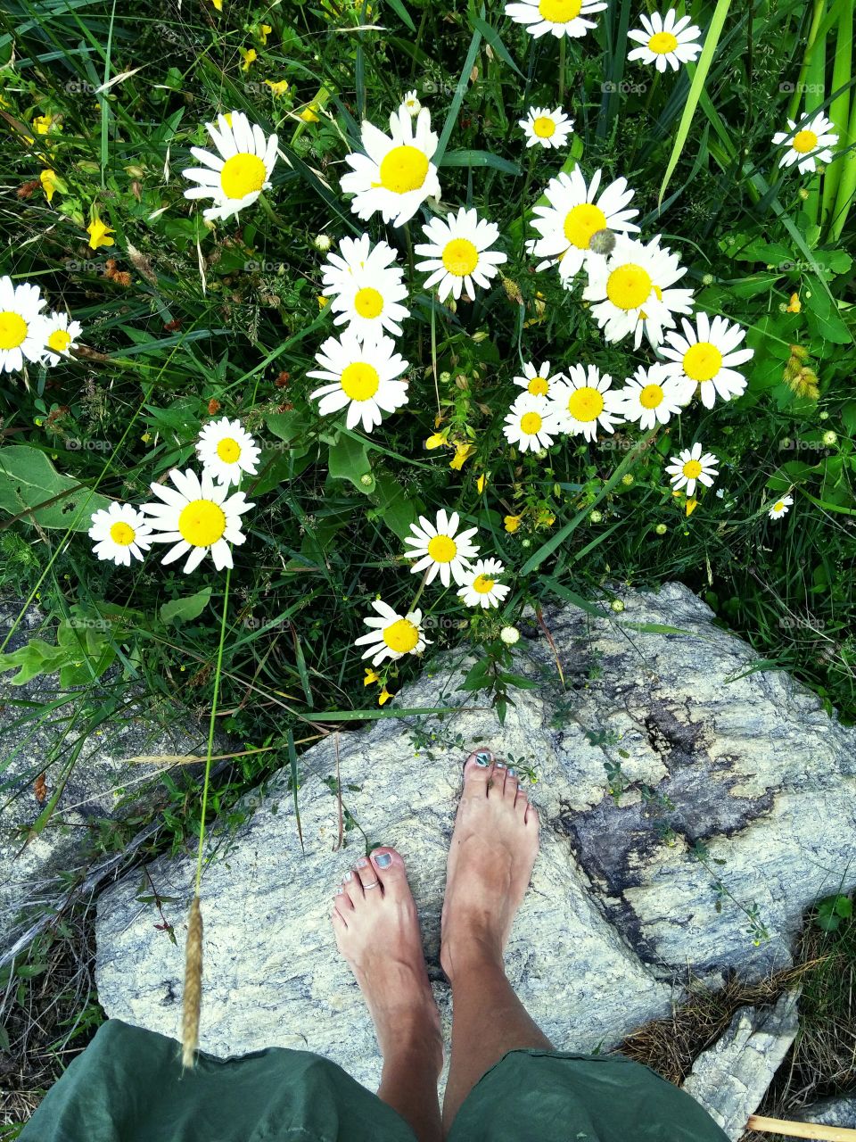 daisies and toes