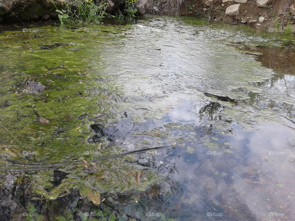 Water, River, Stream, Nature, No Person