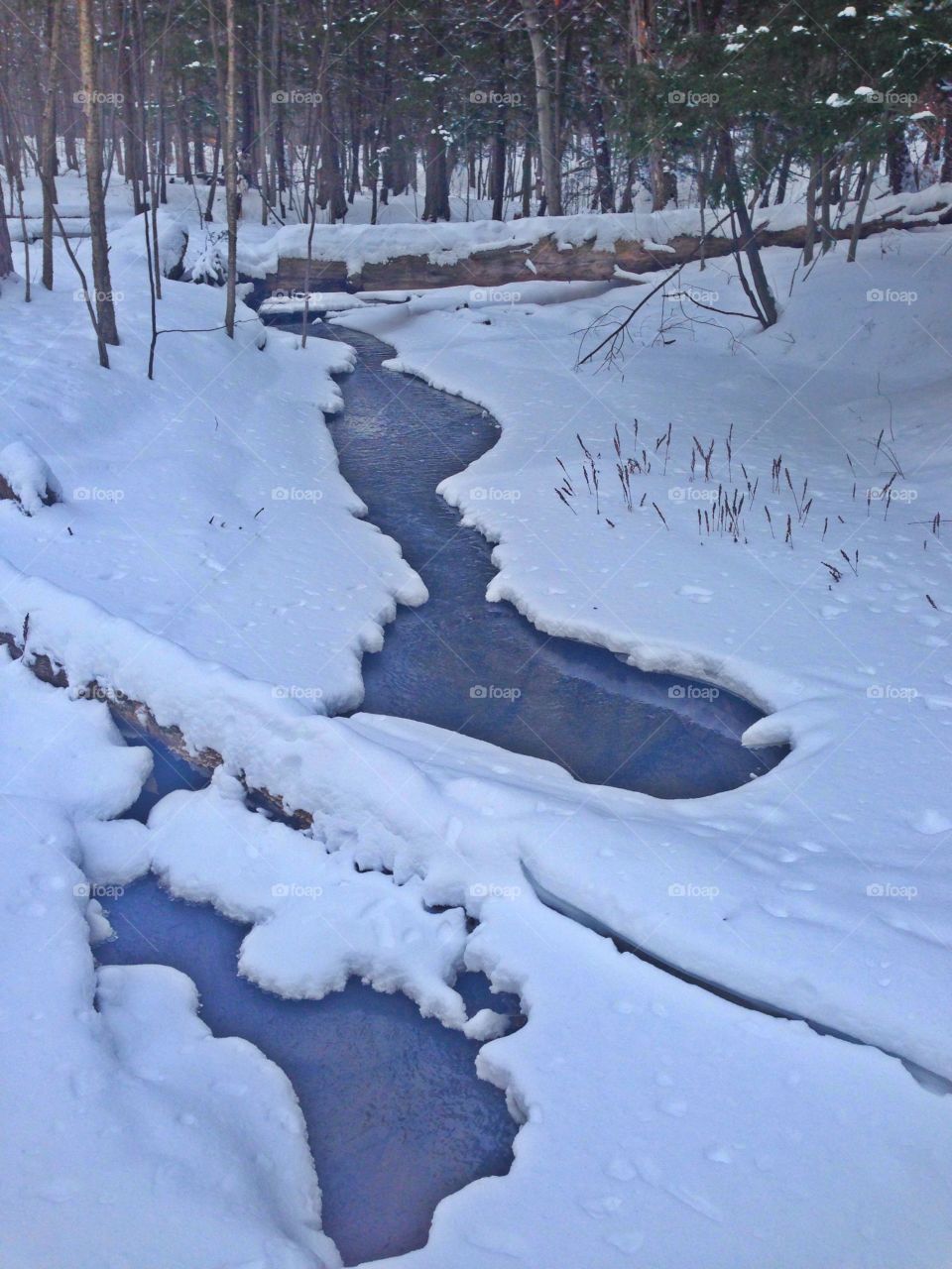 Little stream in the woods, a quiet winters day in Canada