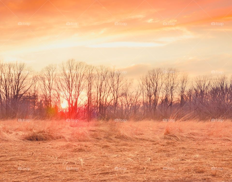 Orange Sunset