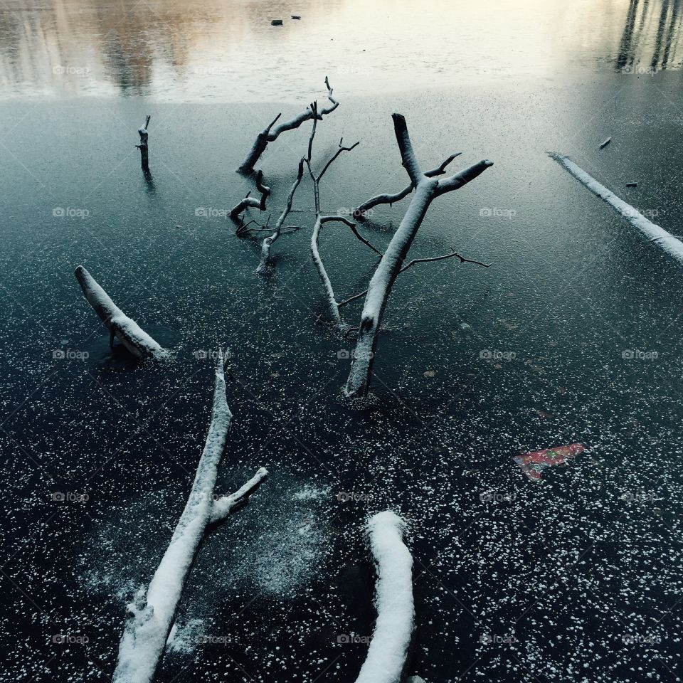 Driftwood on frozen lake