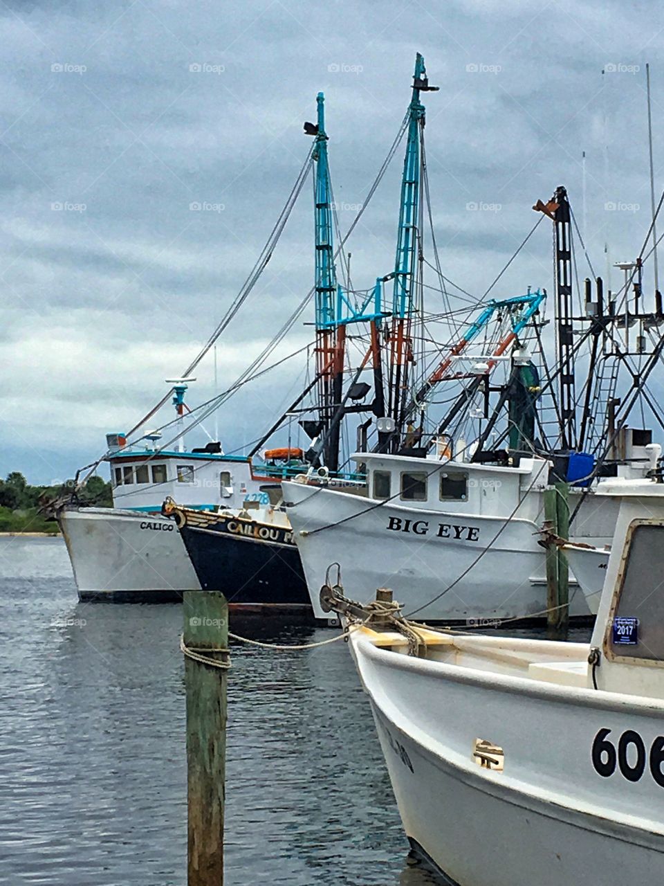 Shrimp Boats docked