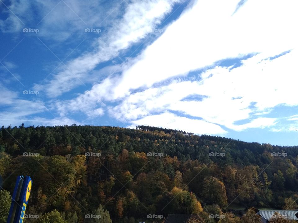 Schwarzwald