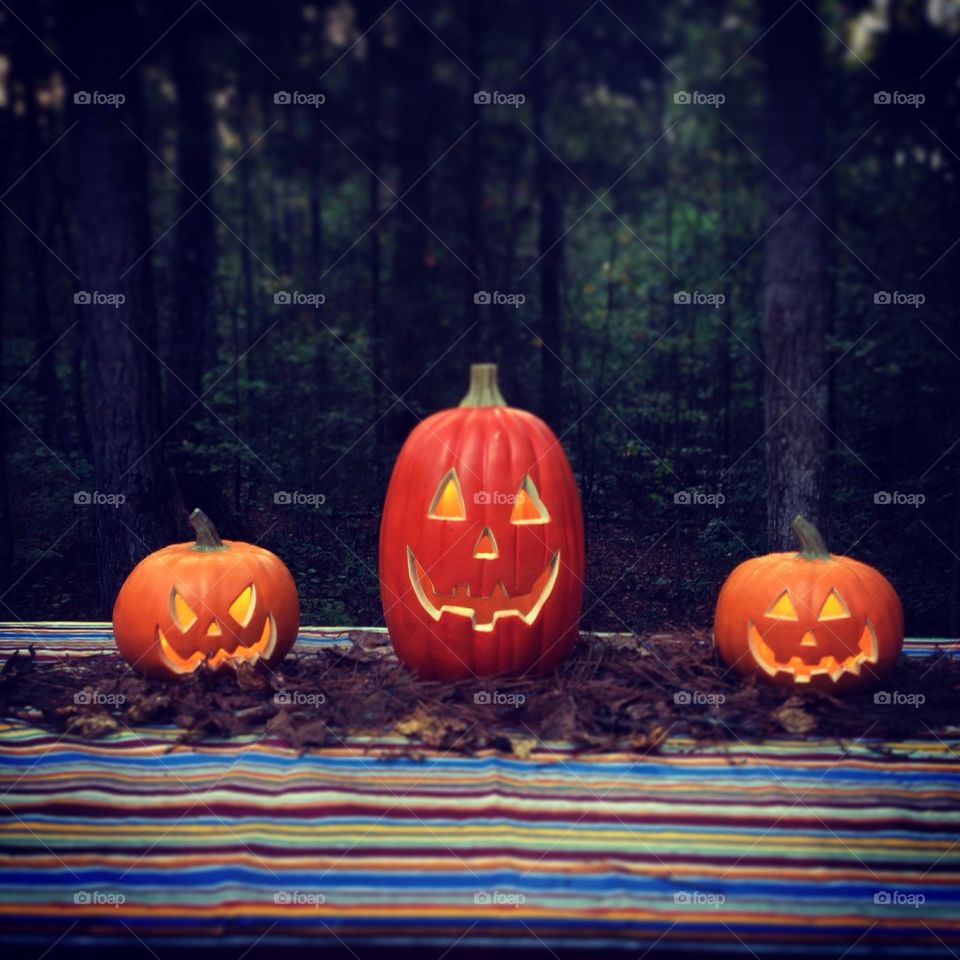 Halloween Pumpkins 