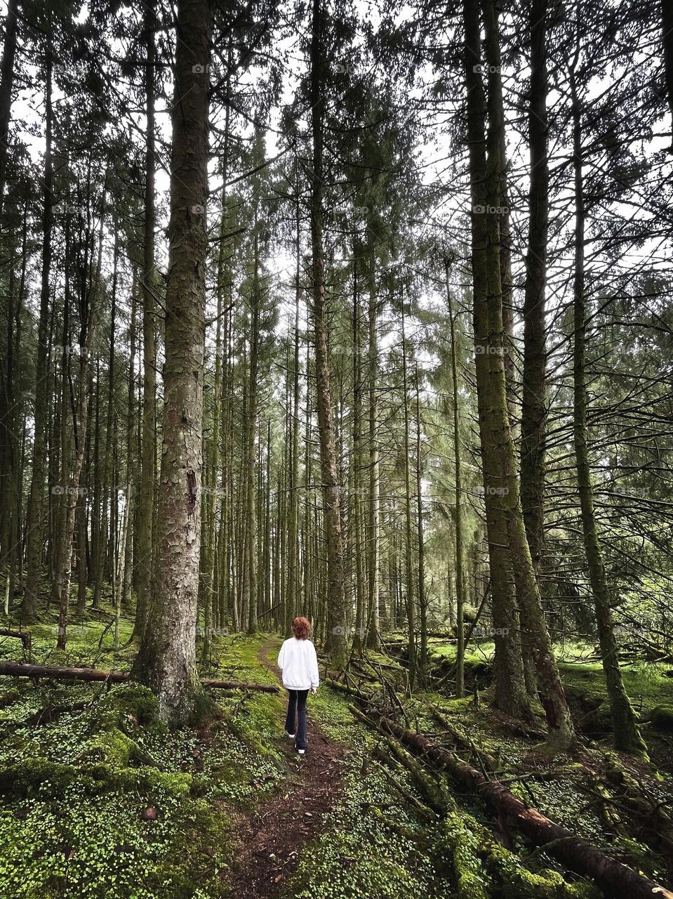 Into the woods I go, to heal my heart and soothe my soul