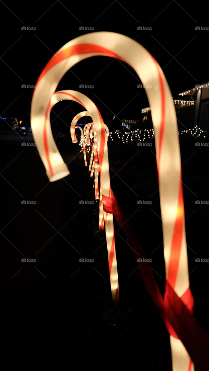 Christmas lights and candy cane in lawn