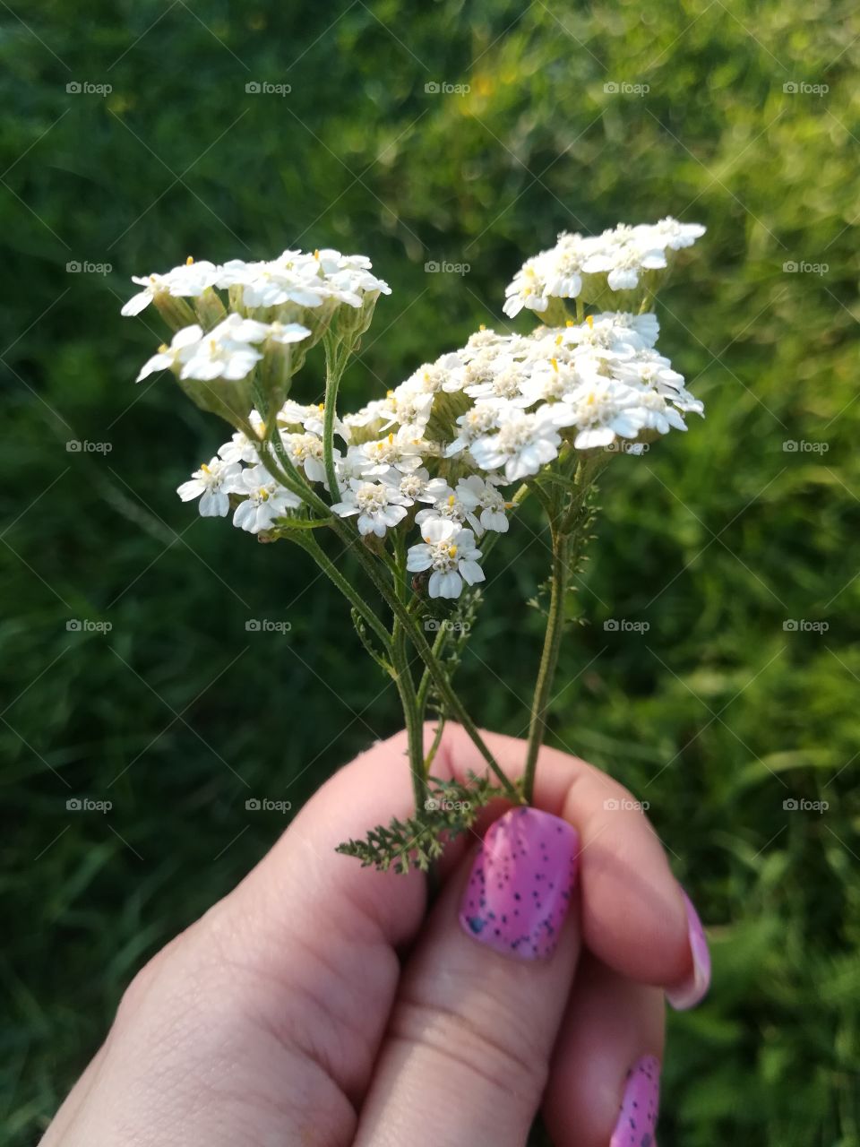 Flowers in hand, joy in heart