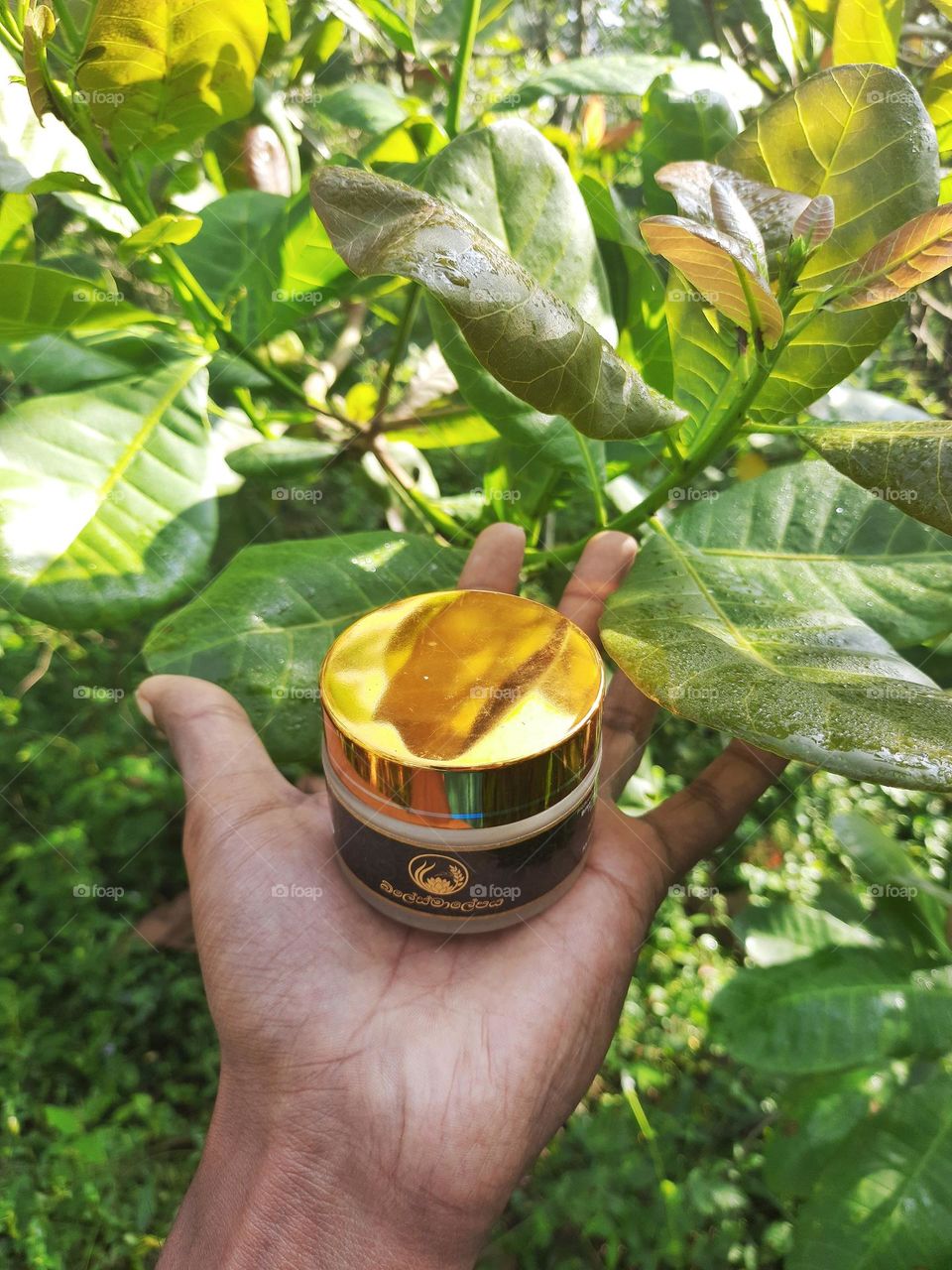 Bilesma natural face cream on my hand.