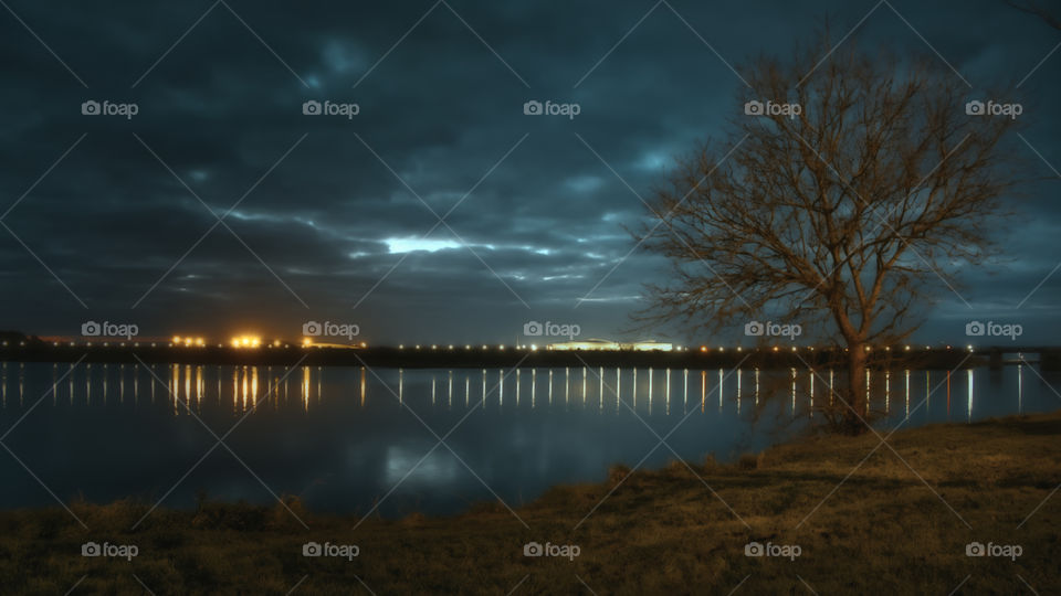 Lonely tree ny the Salt lake in Galway