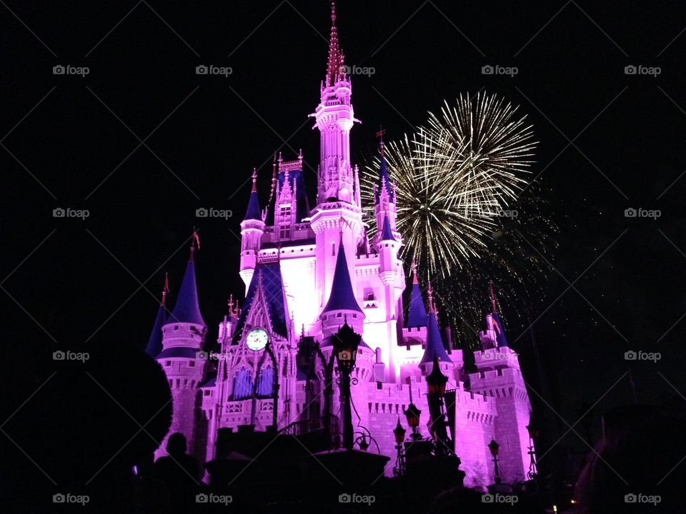 Cinderella’s Castle 