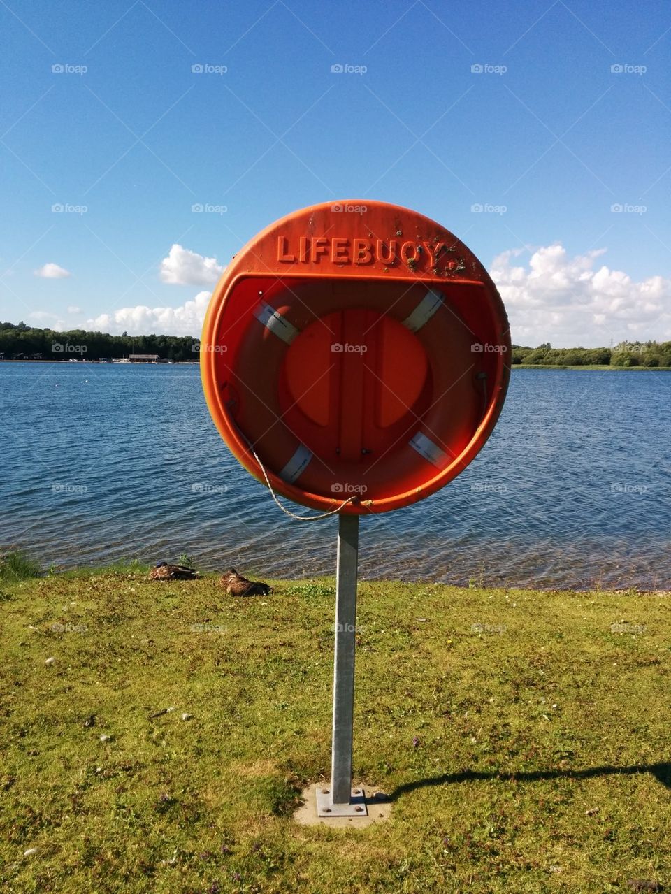 Lifebuoy