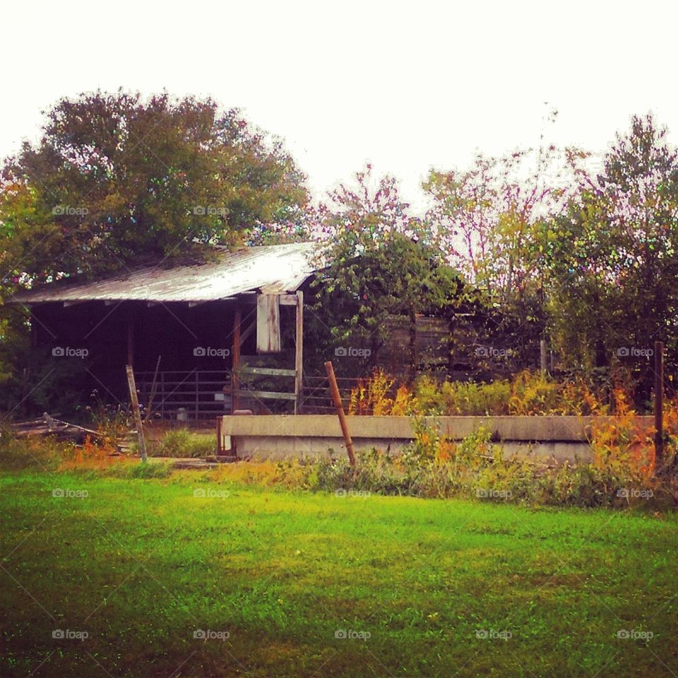 Fall Barn 