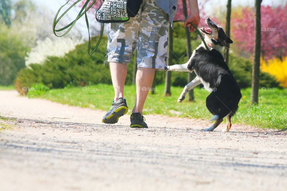 Spring is too beautiful to enjoy it alone - so take me for a walk!

Wrocław, Poland