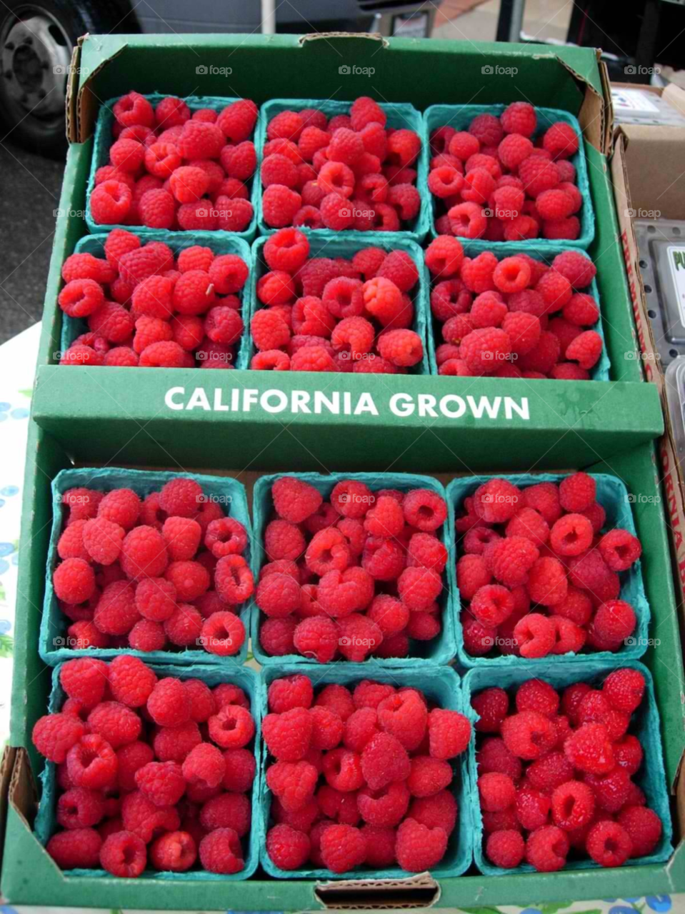 food fruit berries california by micheled312