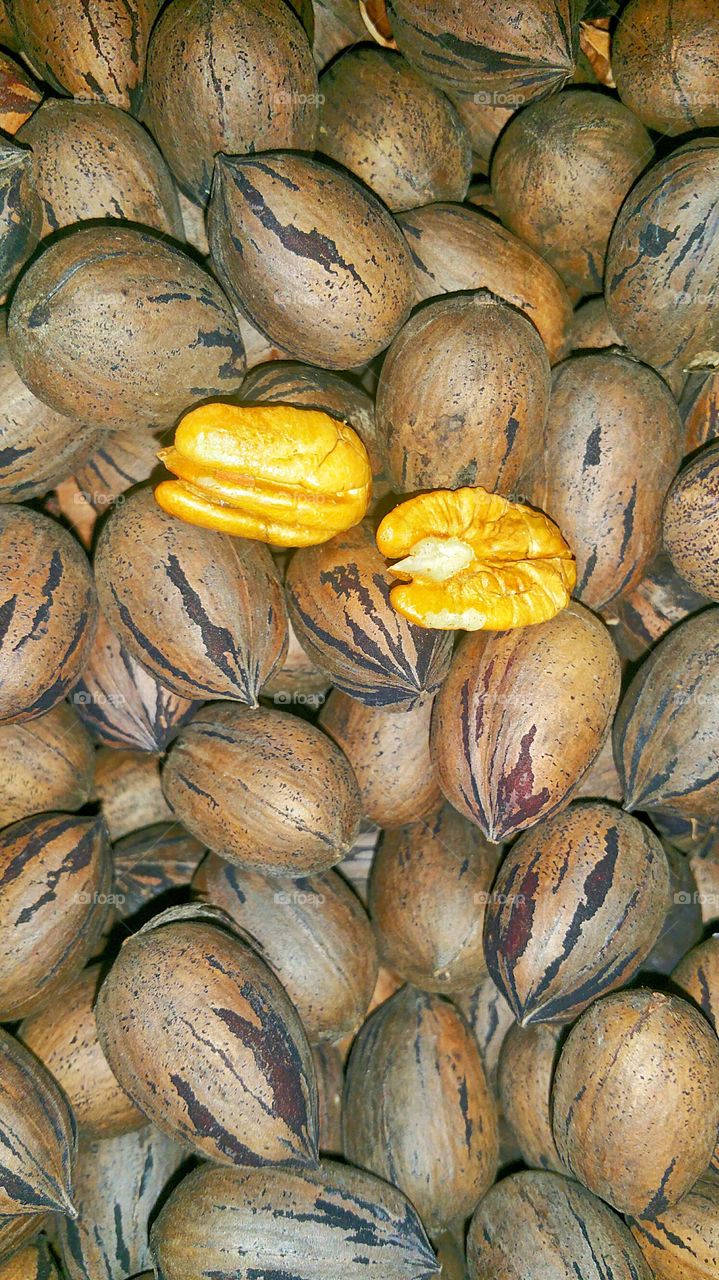 two pecan halves in pile of pecan nuts