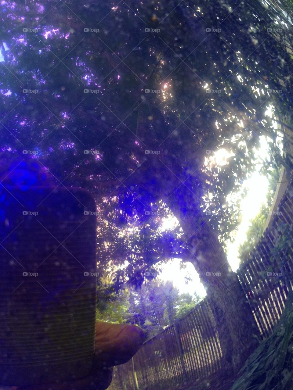 GAZING BALL REFLECTION