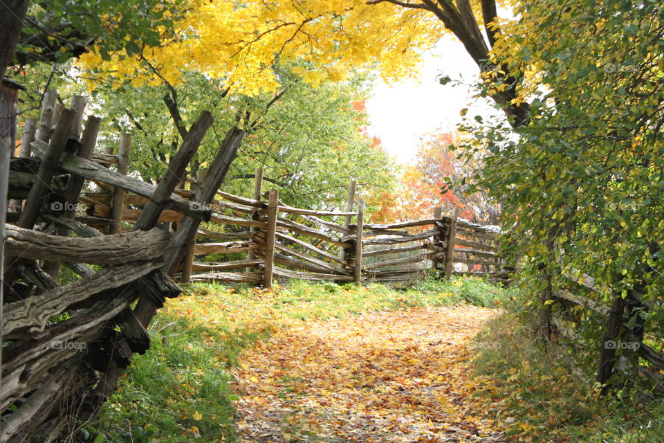 Beautiful autumn landscape 