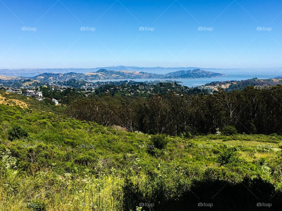 The view from Mount Tamalpais, California. 
