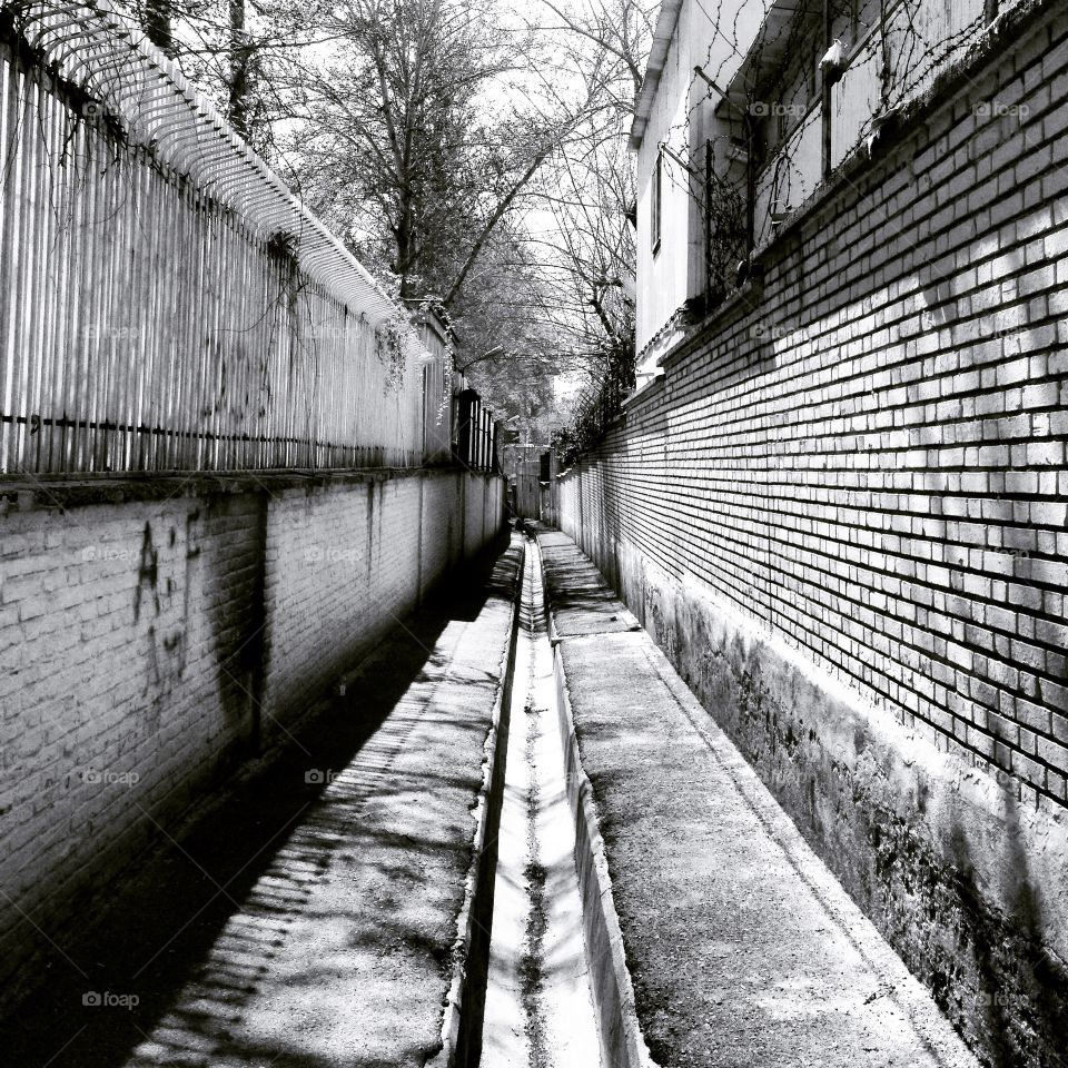 Tehran Alley 