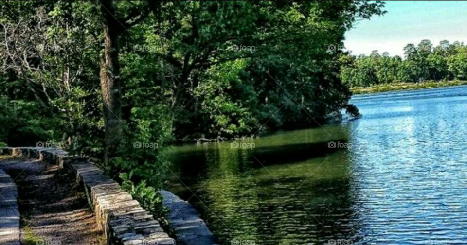 Walking path beside lake and green forest