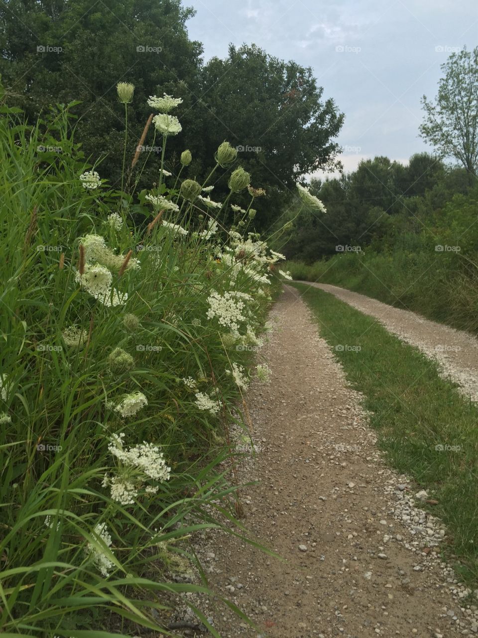 Hiking in Indiana 