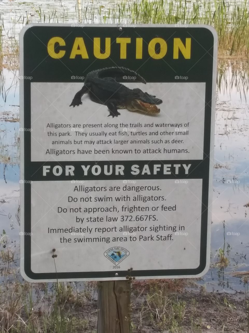 Beware of gators