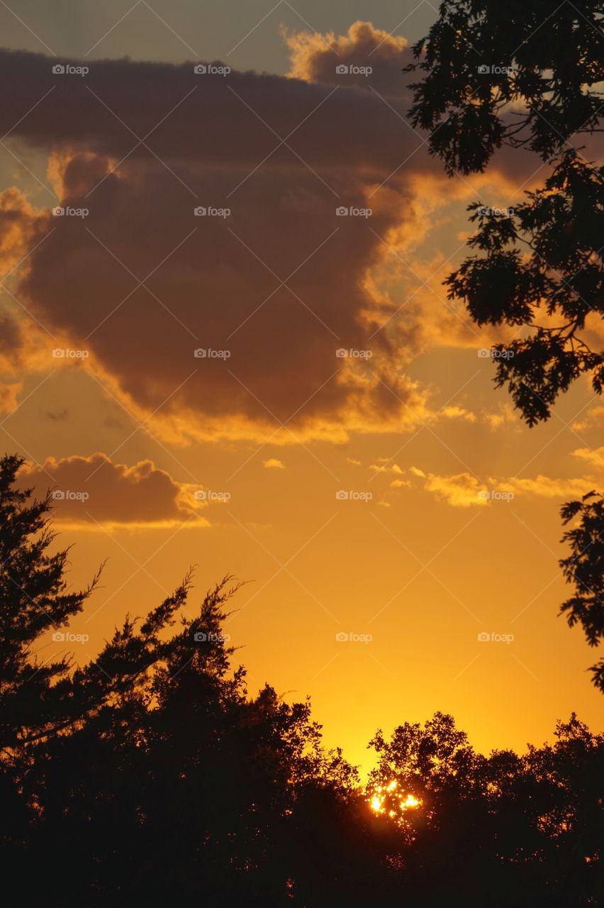 Scenic view with sunset colored sky