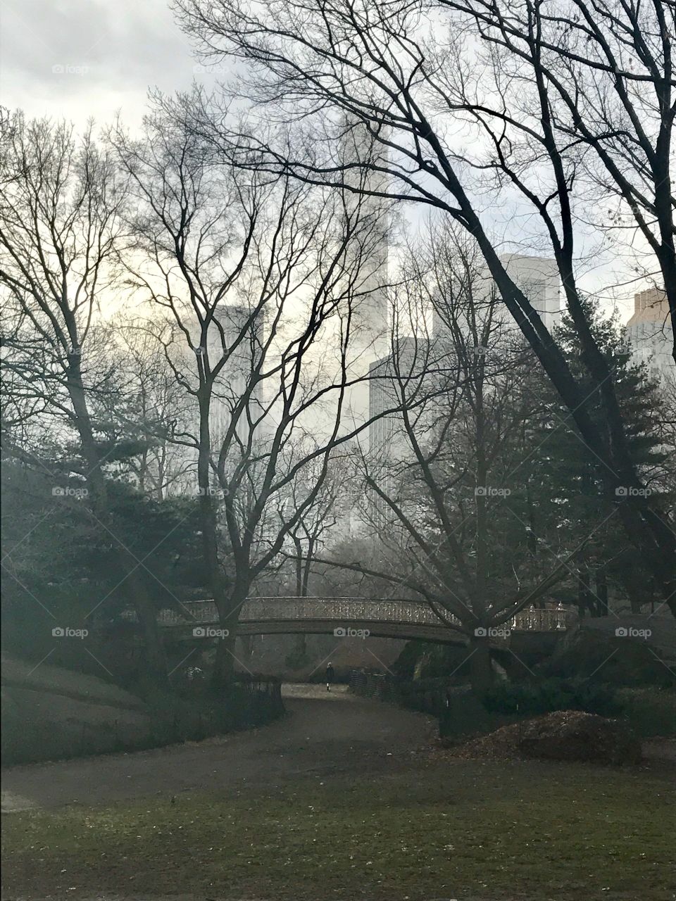 Foggy morning in Central Park, NYC