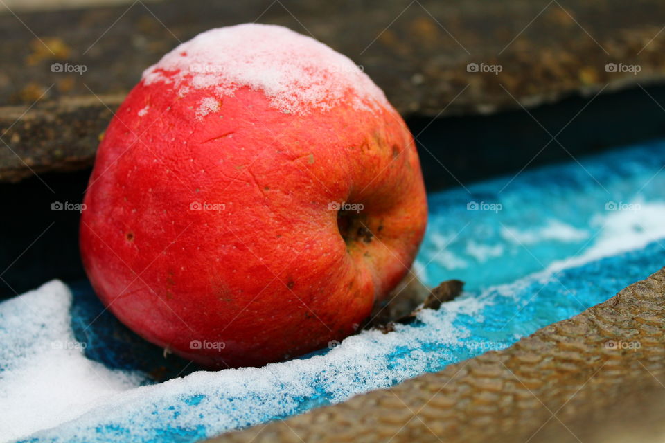 Macro red apple on blue plastic with snow
