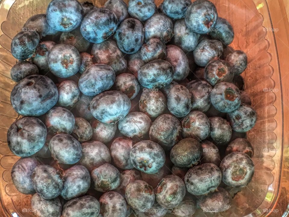 Blueberries 