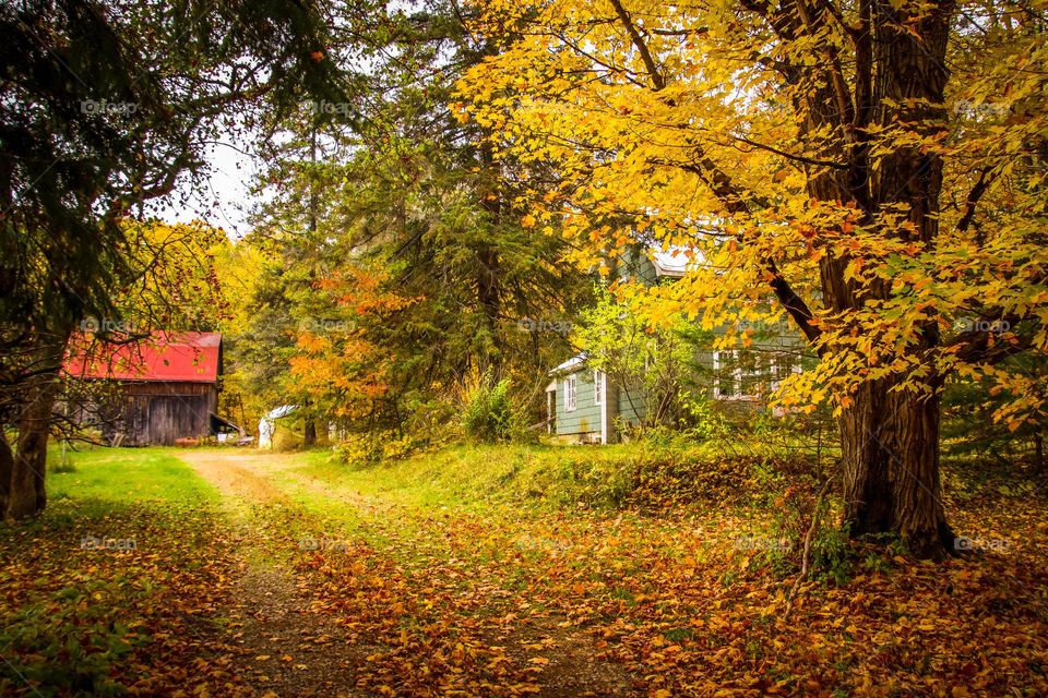 Fall in a countryside