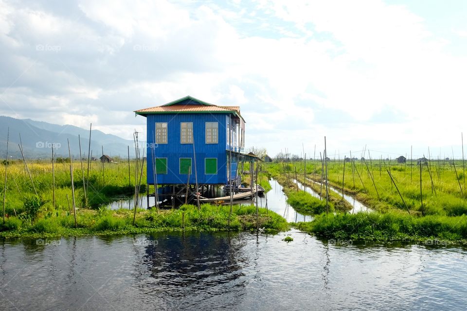 Blue stilt house