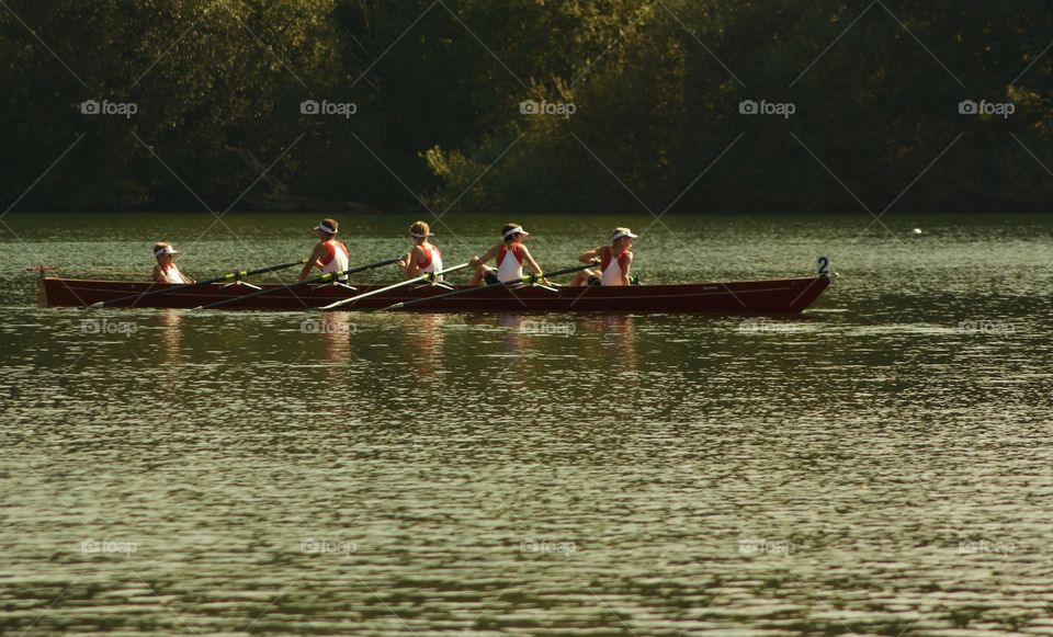 Rowing Competition In Sursee,Luzern