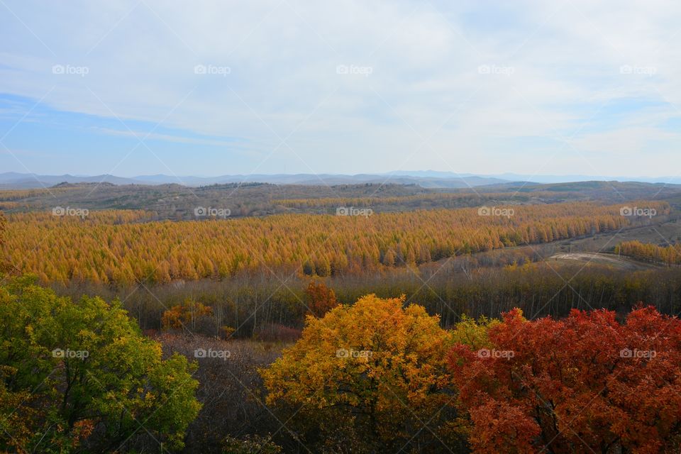 Autumn Yellow Mountain Natural