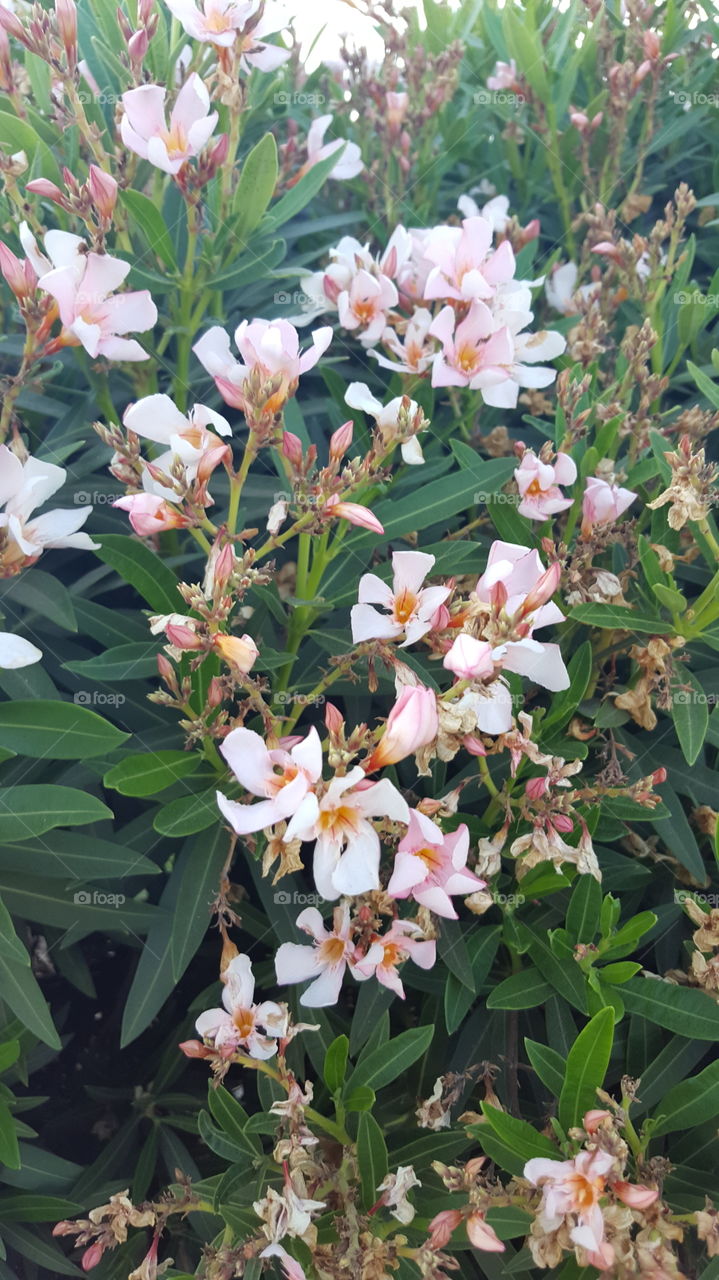 getting ready for fall