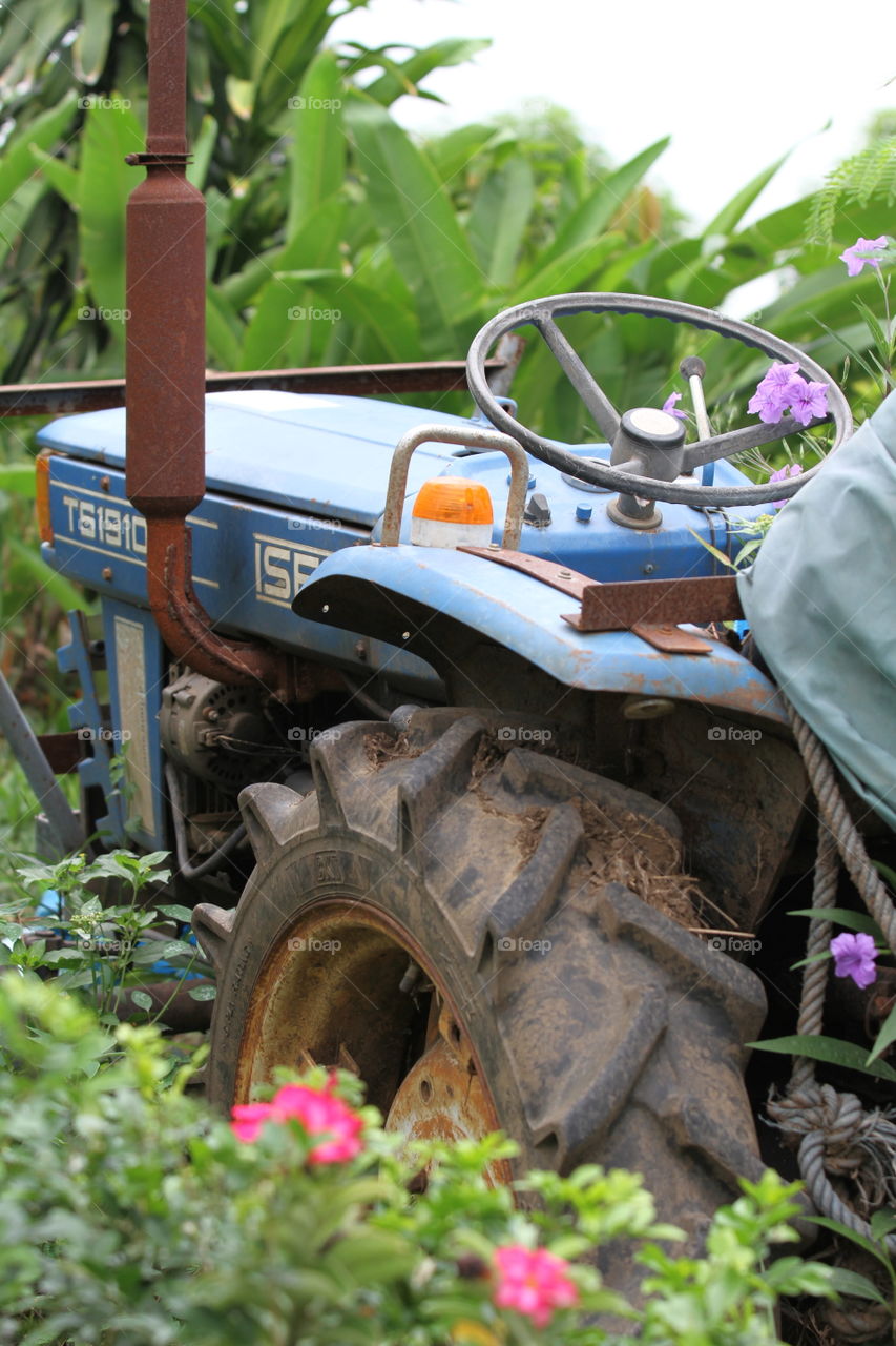 Old tractor