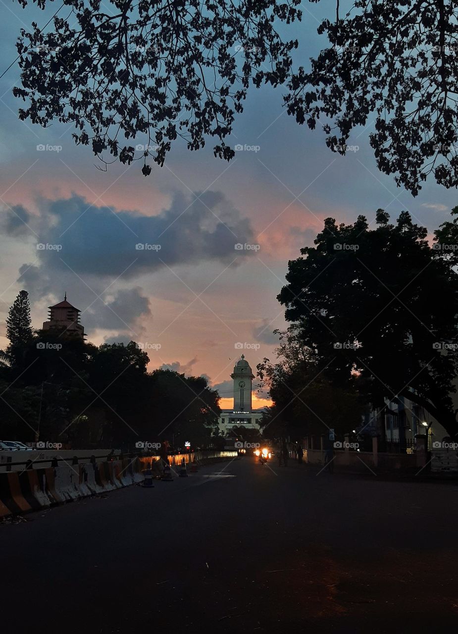 Sunsets and silhouettes