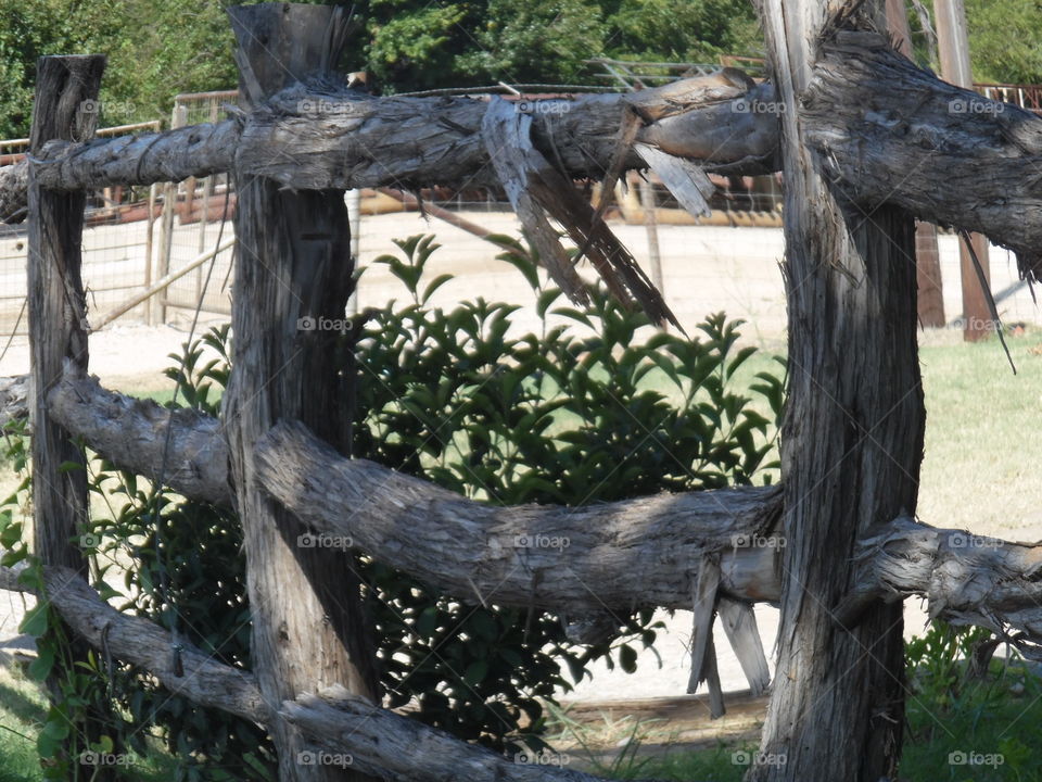 Wooden fence. I saw this fence and thought it was  very nice. 👣 🚶 🏃 🔥 💨