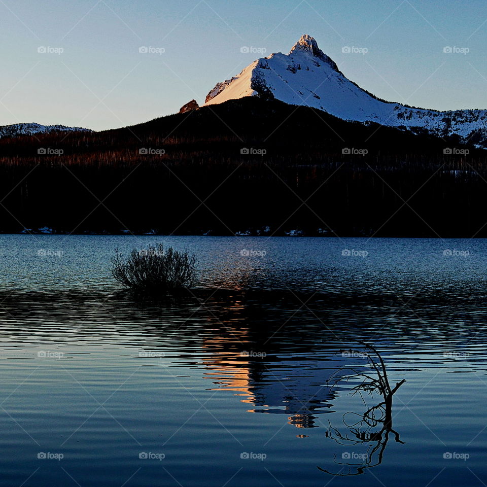 Reflections of a snow covered Mt. Washington in Oregon's Cascade Mountains in Big Lake at sunrise with bushes and branches also reflecting in the rich blue water on a sunny spring morning. 