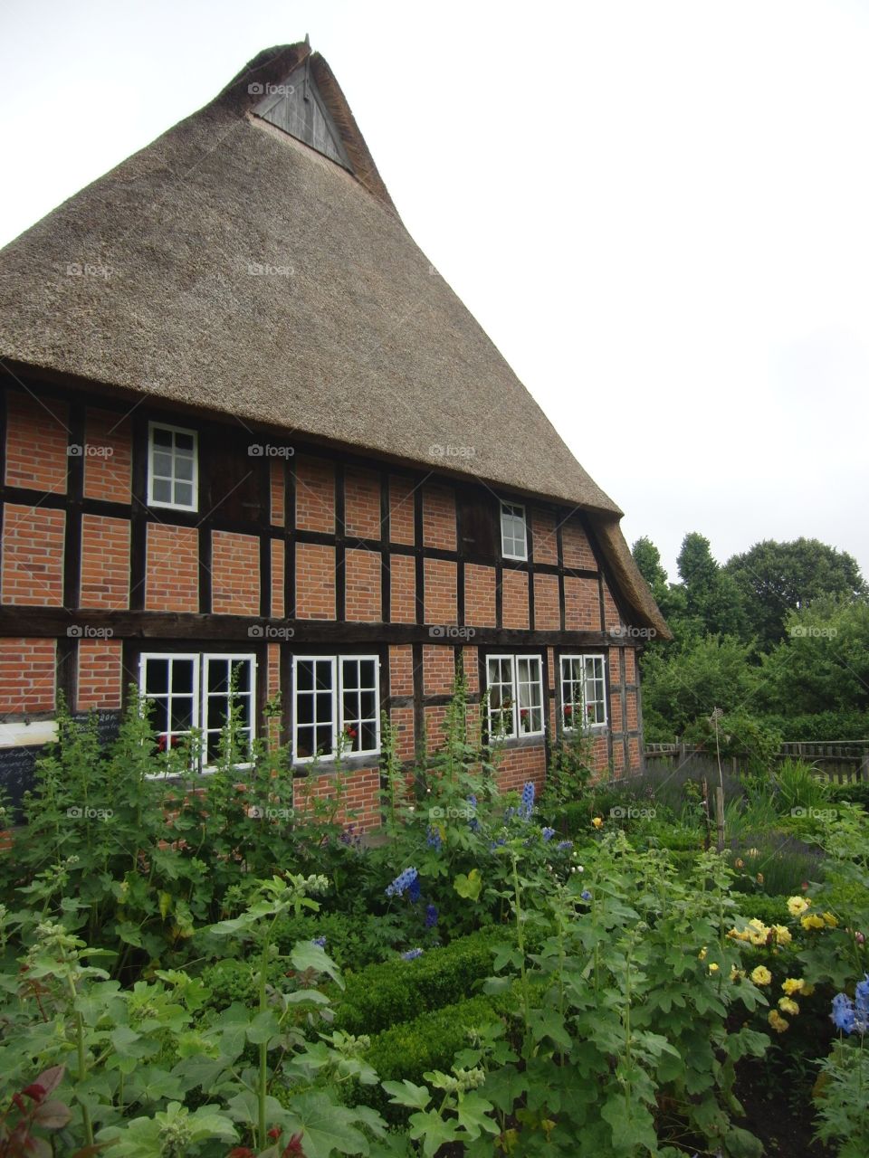 Birch building with reed roof