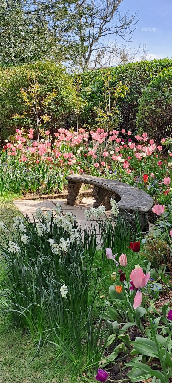 spring day tulip display gardens U.k curved bench seating
